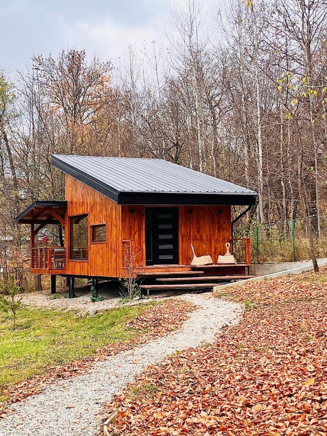 Moodysun Studio, Remote Tiny Home Comarnic Eksteriør bilde